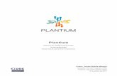 Plantium - UOCopenaccess.uoc.edu/webapps/o2/bitstream/10609/... · curvas de aprendizaje, gestión de proyectos de gran magnitud llevados a cabo por un equipo de personas. La mayoría