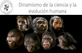 Dinamismo de la ciencia y la evolución humana · humana. Primates •Los primates incluyen tarseros, lémures, monos, simios, y humanos. Primates representativos: Tarsero . Primates