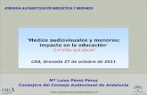 ’Medios audiovisuales y menores: impacto en la educación ... · 13 HÁBITOS Y PAUTAS DE CONSUMO DE TV DE LOS MENORES Alfabetización mediática, Granada, 2011 Alrededor del 30%