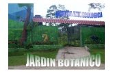 Jardin Botanico La Paz - Kenji Nishida Botanico La Paz.pdfMicrosoft PowerPoint - Jardin Botanico La Paz Author: Administrator Created Date: 4/20/2007 5:26:56 PM ...