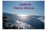 Galicia Tierra Única · O Pindo es un particular Olimpo Celta, igual que los griegos clásicos consagraban su Pindhos a las musas y a la poesía. El lugar propicia leyendas y mitos