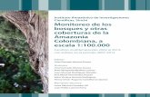 Instituto Amazónico de Investigaciones Científicas, Sinchi ... · Cambios de los arbustales por paisajes 91 Cambios de los arbustales en jurisdicción de las CAR 92 Cambios de los