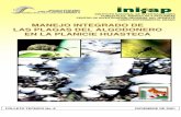 INSTITUTO NACIONAL DE INVESTIGACIONES FORESTALES, …campopotosino.gob.mx/modulos/Docs-descargar/FOLL. TEC... · 2007-02-21 · instituto nacional de investigaciones forestales, agricolas