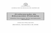 Profesorado de Educación Primaria - Mendoza · 2016-03-09 · GOBIERNO DE MENDOZA DIRECCIÓN GENERAL DE ESCUELAS DIRECCIÓN DE EDUCACIÓN SUPERIOR 3 COORDINADORES DEL PROCESO CURRICULAR