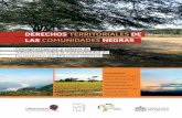 DERECHOS TERRITORIALES DE LAS COMUNIDADES NEGRAS · 2018-01-16 · 4.3 Ecosistemas en los territorios de las comunidades 37 4.3.1 Importancia de estos ecosistemas en categorías de