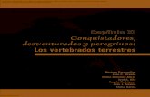 Conquistadores, desventurados y peregrinos · 2012-02-08 · conquistadores (especies colonizadoras de nuevos territorios), desventurados (especies sin éxito en la colonización)