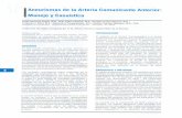Aneurismas de la Arteria Comunicante Anterior: IManejo y ...repebis.upch.edu.pe/articulos/rev.peru.neurocir/v3n1/a2.pdf · pacientes con aneurisma cerebral. El aneurisma de la arteria