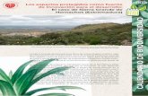 CALENDARIO DE BIODIVERSIDAD - SEBiCoP€¦ · Con el objetivo de mejorar la percepción social de la Red Natura 2000, se planteó este proyecto, del que por el momento se han obtenido