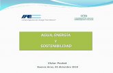 AGUA, ENERGÍA y SOSTENIBILIDAD · AGUA, ENERGÍA y SOSTENIBILIDAD Instituto Argentino de la Energía “Gral. ... Significa energía limpia y barata para hoy y mañana, con un promedio