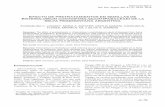 Efecto de pretratamientos en semillas de Enterolobium ...botanicaargentina.org.ar/wp-content/uploads/2018/06/07_lozano-1.pdf · por una capa con células en empalizada formada por