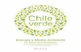 Energía y Medio Ambienteold.acee.cl/577/articles-62091_recurso_3.pdf · que nativo, como el Parque Puma-lín, inspirando con su quehacer a emprendedores chilenos que die-ron vida
