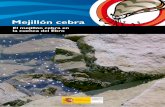 El mejillón cebra en la cuenca del Ebro CHE 2007.pdfllón cebra y su problemática a los ciudadanos, entendiendo que ésta es la estrategia más efectiva, si no la única, para frenar