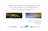 Redes de colaboración y generación de conocimiento en ...digital.csic.es/bitstream/10261/185239/1/Informe CIBER 2019.pdf · Redes de colaboración y generación de conocimiento