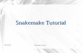 Snakemake Tutorial - GRIOTE · 09/20/2016 Snakemake Tutorial 9 Snakefle (1/2) import glob, ntpath inFiles = set() ## set of all input files (only file names) ## extract file names