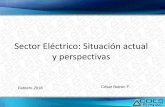 Sector Eléctrico: Situación actual y perspectivas€¦ · las Licitaciones de la Ley 28832 Empresas Eléctricas del Estado C.H. Cerro del Águila C.H. Chaglla Contratos a Largo