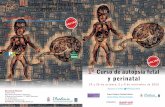 ONLINE...19 y 26 de octubre, 2 y 9 de noviembre de 2020 Síguenos en twitter @AutopsiaFetal Grupo de Trabajo de Patología Pediátrica. Societat Catalana d’Anatomia Patològica.