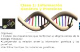 LOGO Clase 1: Información Genética y Proteínas...LOGO Clase 1: Información Genética y Proteínas Objetivos: Explicar los mecanismos que conforman el dogma central de la biología