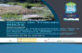 Grupo de Trabajo RÍOS - LIFE MedWetRivers · 2020-02-19 · Grupo de Trabajo RÍOS Seminario Gestión y seguimiento en ríos y humedales mediterráneos de la Red Natura 2000: Coordinación