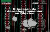 Situaciones de los derechos humanos en México. …...C. Acceso a la información en casos de graves violaciones a derechos humanos 215D. La administración de justicia en relación
