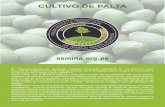 CULTIVO DE PALTAdyaperu.org/web/wp-content/uploads/2018/12/Cartilla... · 2018-12-10 · mano de obra infantil. CULTIVO DE PALTA. Consejos para el padre/madre agricultor /a Cuando