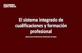 El sistema integrado de cualificaciones y formación · La formación profesional en el sistema educativo. 19 Existen 26 familias profesionales. (consultar oferta formativa en Aragón)
