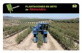 PLANTACIONES EN SETO Almendro...Se encuentra en proceso de reconversión, actualmente existe un predominio de plantaciones tradicionales en secano marginales y poco productivas. Andalucía
