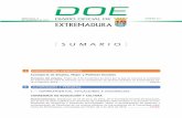 Diario Oficial de Extremadura - I DISPOSICIONES …doe.juntaex.es/pdfs/doe/2014/2130o/2130o.pdfOrden de 4 de noviembre de 2014 por la que se convoca la concesión de subvenciones para