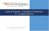 VICERRECTORADO ACADÉMICO - AUTONOMA DE ICArepositorio.autonomadeica.edu.pe/bitstream/autonomadeica... · 2019-01-25 · 01 El Sistema Tributario Peruano El Derecho Laboral 4 02 El