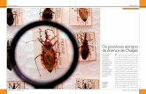 Os possíveis abrigos da doença de Chagas · 2018-12-21 · (E) Rhodnius prolixus (1,1%) Software: QGIS. Fonte: 1. IBGE (2015). Instituto Brasileiro de Geografia e Estatística.