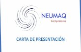 Presentación de PowerPoint - NEUMAQ · 2019-08-05 · deseada, aceite emulsiones y otros líquidos. Estos drenajes solo se abrirán cuando haya líquido presente y no permitirán