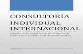 CONSULTORÍA INDIVIDUAL INTERNACIONAL · “CONSULTORIA PARA EL DESARROLLO E IMPLEMENTACION DE LA AUDITORIA DE ÉTICA SOBRE INSTITUCIONES OPERADORAS DE JUSTICIA DE HONDURAS” I.