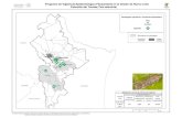 Presentación de PowerPoint - CESAVENLcesavenl.org.mx/informes/vigilancia/abril.pdfPrograma de Vigilancia Epidemiológica Fitosanitaria en el estado de Nuevo León Palomilla marrón