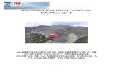 DIRECCIÓN AMBIENTAL REGIONAL PACÍFICO ESTE · 1617 Diseño y construcción de obras de cierre y clausura de botaderos a cielo abierto (BACA) en el Valle del Cauca 194.775.553 101