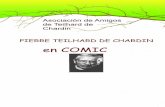 Teilhardteilhard.net/wp-content/uploads/2018/05/TEILHARD-COMIC.pdf · El pensamiento filosófico, religioso, místico y científico de Teilhard de Chardin fue fruto de un "largo camino",