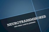 Organización del sistema nervioso · neuronas postganglionares del sistema nervioso parasimpático. –La estimulación de los receptores muscarinicos ocasiona bradicardia, inotropismo