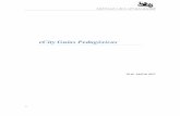 eCity Guías Pedagóxicasecity-project.eu/site/docs/ecity-guidelines-ga-151119.pdf · 543573-LLP-1-2013-1-PT-KA3-KA3MP 1 eCity Guías Pedagóxicas 20 de Abril de 2015