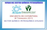 ENCUESTA DE COYUNTURA III Trimestre 2015asoquim.com/v2018/wp-content/uploads/2018/06/EC2015-III.pdf · asociaciÓn venezolana de la industria quÍmica y petroquÍmica 2 encuesta de