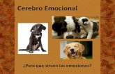 Cerebro Emocional - Educar un Perro · • La función social de las emociones, hacen referencia al papel que las emociones ejercen en la adaptación del individuo a su entorno social,