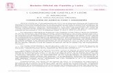 Boletín Oficial de Castilla y León...preceptivo según consta en el «B.O.C. y L.» n.º 65 de 5 de abril de 2013, en el «Boletín Oficial de la Provincia de León» n.º 67 de