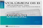 SEGURIDAD VIAL – ANEXO V decreto 532/09biblioteca.malvinasargentinas.ar/digesto/2020/V8B_seguridad_vial.pdf · Seguridad Vial de la Provincia de Buenos Aires en forma bimestral,