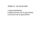 TEMA IV. GLUCÓLISIS 1.Generalidades 2.Reacciones de la ......FASE PREPARATORIA DE LA GLUCÓLISIS 1. Fosforilación de la glucosa Es el primer paso de la glucólisis Es una reacción