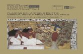 MUSEO NACIONAL DE HISTORIA NATURAL CHILEpublicaciones.mnhn.gob.cl/668/articles-87521_archivo_01.pdf · 2018-08-31 · Egipto y se fotografiaron todos los especímenes botánicos encontrados