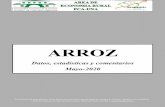 ARROZ - agr.una.py · ARROZ: Datos, estadísticas y comentarios Mayo-2020 Este boletín fue preparado por Victor Enciso (venciso@agr.una.py). Las opiniones expresadas en este documento