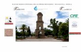PLAN DE MANEJO INTEGRAL DEL ACUÍFERO HUICHAPAN ... · Programa de Manejo Integral del Acuífero Huichapan – Tecozautla - Nopala Comité Técnico de Aguas Subterráneas del Acuífero