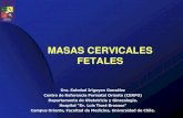 MASAS CERVICALES FETALESMASAS CERVICALES FETALES Dra. Soledad Irigoyen González Centro de Referencia Perinatal Oriente (CERPO) Departamento de Obstetricia y Ginecologia. Hospital