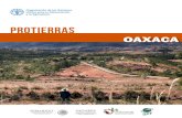 ProTierras · 2019-03-26 · Microrregión Mixteca, Oaxaca Componentes de ProTierras 1. Gobernanza para el fortalecimiento institucional y gestión territorial enfocado al MST. 2.