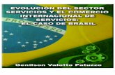 EVOLUCIÓN DEL SECTOR SERVICIOS Y EL · 2018-05-11 · composición y los antecedentes históricos de las actividades en el sector servicios en la economía brasileña, la creciente