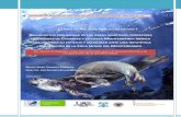 DIAGNÓSTICO PRELIMINAR DE LAS ÁREAS MARÍTIMO …fungobe.org/system/.../master/cuaderno_experiencias/FocaMonjeCe… · Las foca monje del Mediterráneo es una de las 10 especie