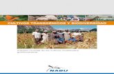 CULTIVOS TRANSGÉNICOS y BIODIVERSIDADagroaldia.minagri.gob.pe/.../f01-cultivo/2018/cultivos_trasgenicos.pdf · CULTIVOS TRANSGÉNICOS y BIODIVERSIDAD. El cultivo comercial de plantas