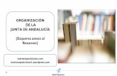 ORGANIZACIÓN DE LA JUNTA DE ANDALUCÍA (Esquema anexo …€¦ · La Administración de la Junta de Andalucía, bajo la dirección del Consejo de Gobierno, desarrolla las funciones
